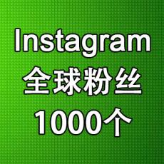 Instagram推广买粉丝加粉丝Follower 1000个ins粉丝